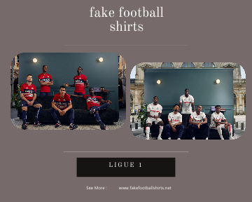 fake Lille football shirts 23-24